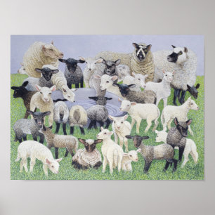 Feeling Sheepish Poster