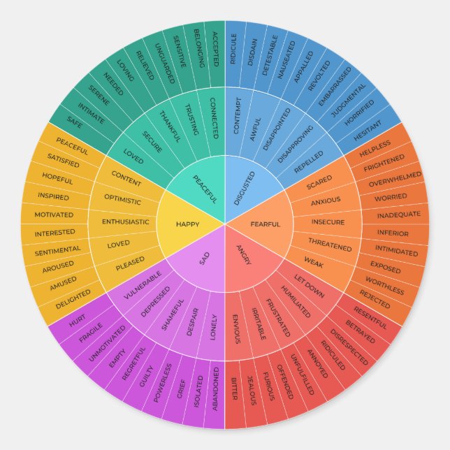 Feelings Wheel, Colorful Emotions Chart  Classic Round Sticker (Front)