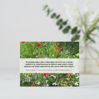 Feldenkrais about learning v.2 - postcard