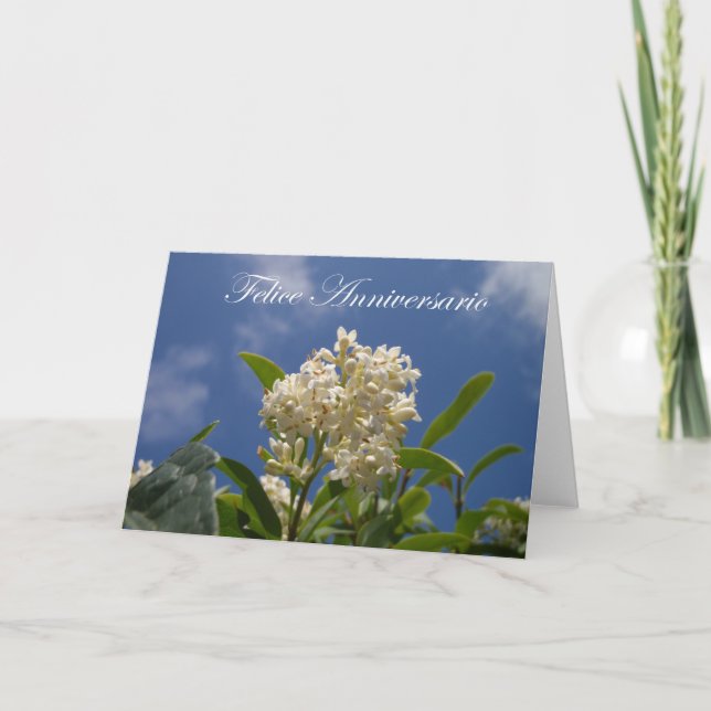Felice Anniversario - Happy Anniversary Card (Front)