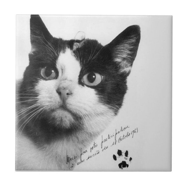 Félicette: The First Cat in Space Tile (Front)
