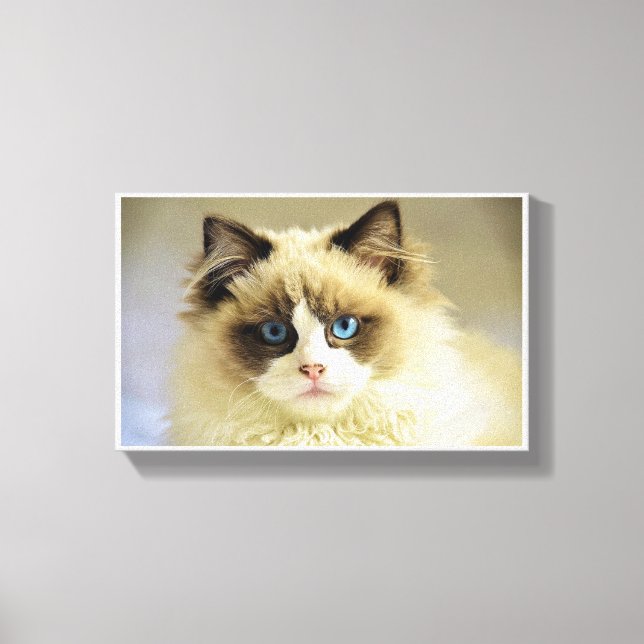 Feline Canvas Print (Front)