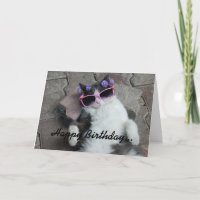 Feline Diva Birthday