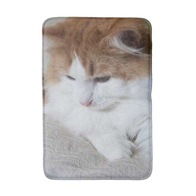 (Feline Fancy) Kitty Contemplation: Cat Photo Bath Mat (Front Vertical)