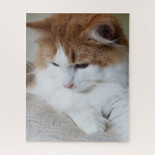 (Feline Fancy) Kitty Contemplation: Cat Photo Jigsaw Puzzle (Vertical)