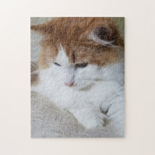 (Feline Fancy) Kitty Contemplation: Cat Photo Jigsaw Puzzle