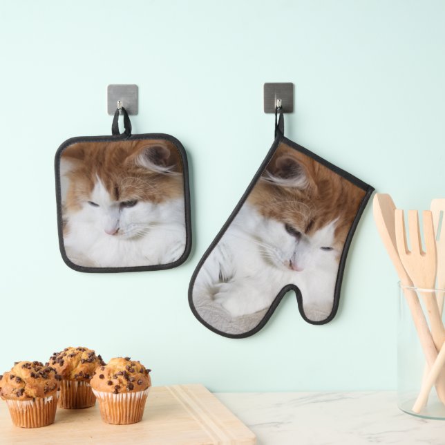 (Feline Fancy) Kitty Contemplation: Cat Photo Oven Mitt & Pot Holder Set (Insitu(Hanging))