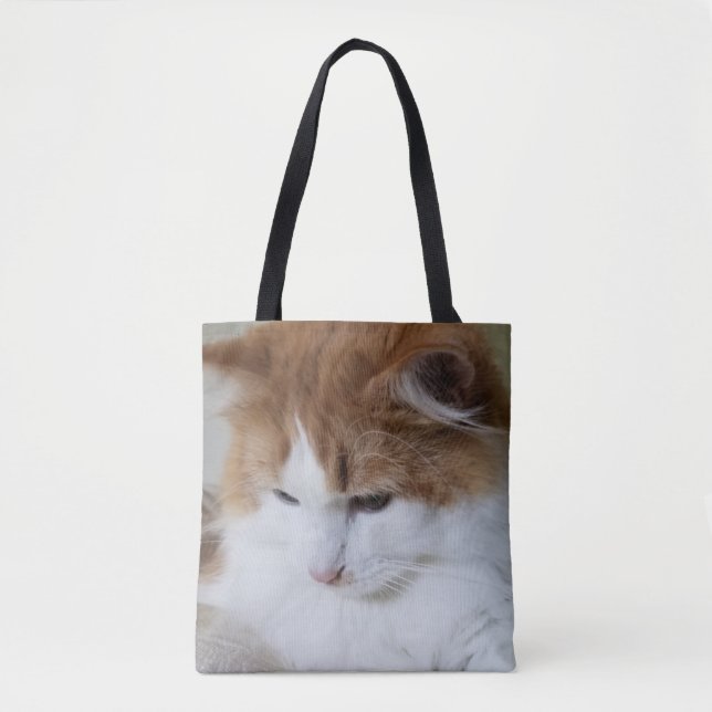 (Feline Fancy) Kitty Contemplation: Cat Photo Tote Bag (Front)