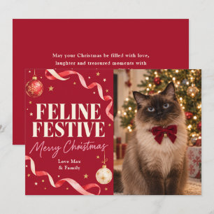 Feline Festive Cat Christmas Photo Holiday Card