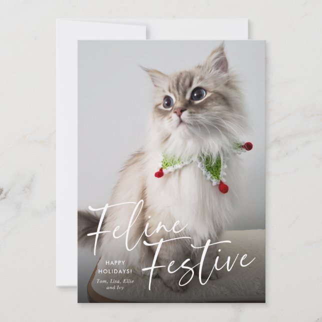 Feline Festive Cat Photo Holiday  Card (Front)