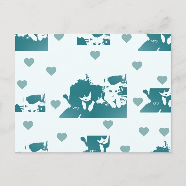 Feline friends. postcard (Front)