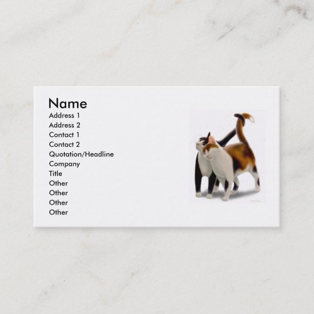 Feline Friends Profile Card (Front)