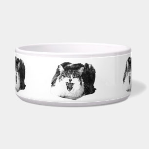 Feline Fun, Dish Art