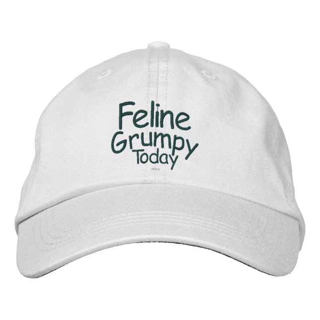 Feline Grumpy Today Embroidered Hat (Front)