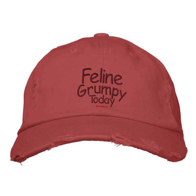 Feline Grumpy Today Embroidered Hat (Front)