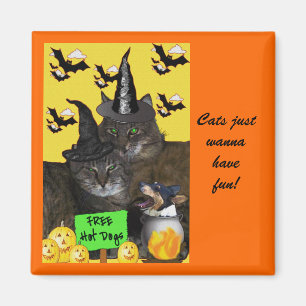 Feline Halloween Party Magnet