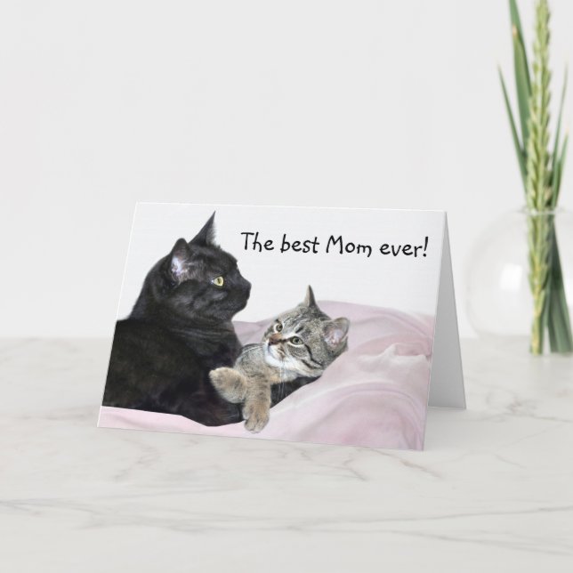 Feline Mother's Day Card (Front)