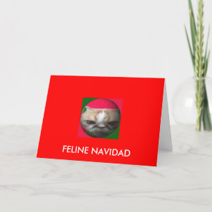 Feline Navidad Holiday Card
