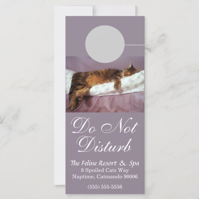 Feline Resort Do Not Disturb Custom Rack Card (Front)