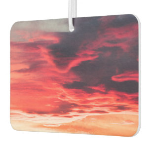 feline wave car air freshener