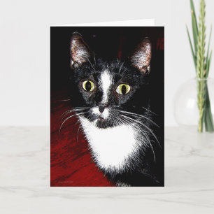 Felix Greeting Card