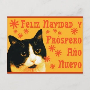 Felix Navidad Postcard