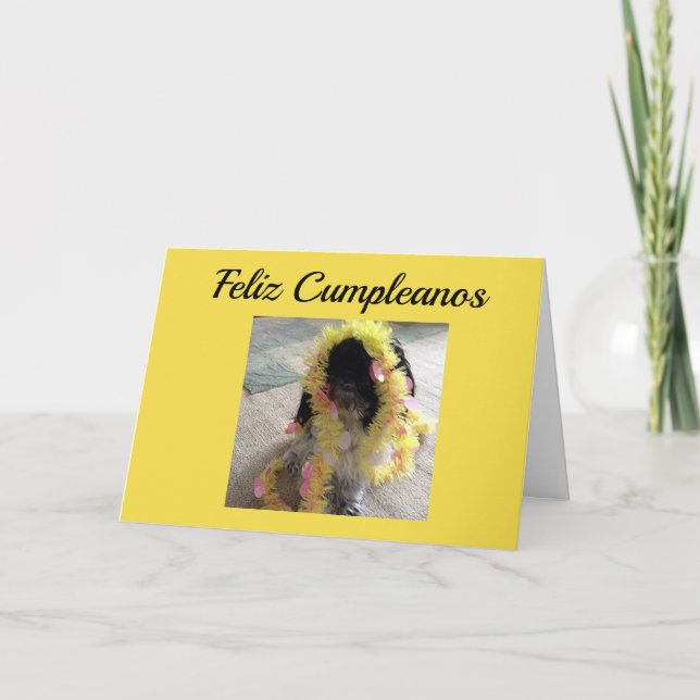 **FELIZ CUMPLEANOS**-HAPPY BIRTHDAY SPANISH CARD (Front)