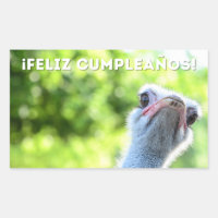 Feliz cumpleaños, Spanish happy birthday 