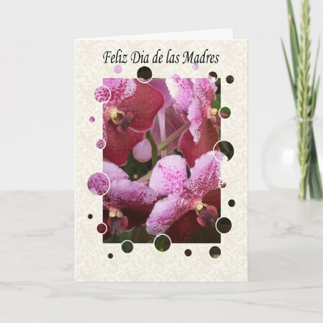 feliz dia de las madres general card (Front)