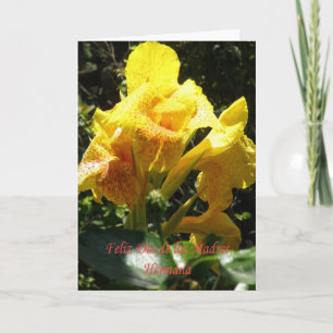 Feliz dia de las madres Hermana Card