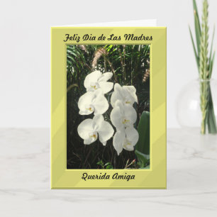 Feliz Dia de las madres querida amiga Card