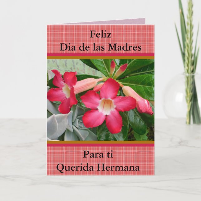 Feliz Dia de las Madres Querida Hermana 321 Card (Front)