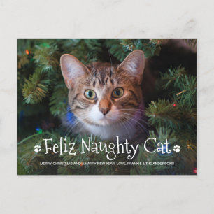 Feliz Naughty Cat Funny Personalised Pet Photo Hol Postcard