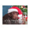Feliz Naughty Dog Funny Personalised Pet Photo Hol