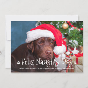 Feliz Naughty Dog Funny Personalised Pet Photo Holiday Card
