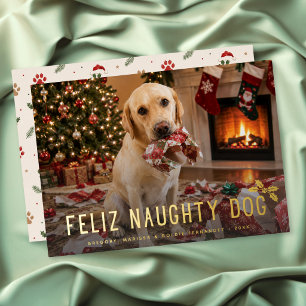 Feliz Naughty Dog Funny Photo Christmas