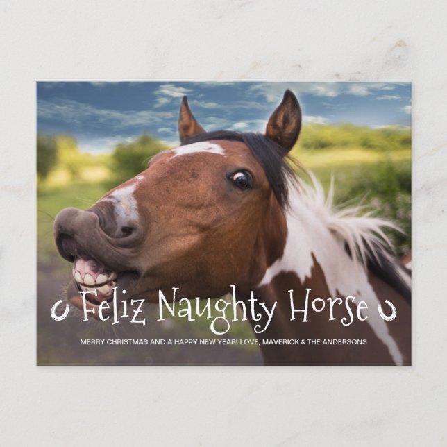 Feliz Naughty Horse Funny Personalised Pet Photo Holiday Postcard (Front)