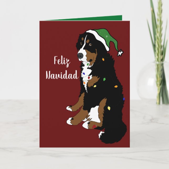 Feliz Navidad Bernese Mountain Dog Card (Front)