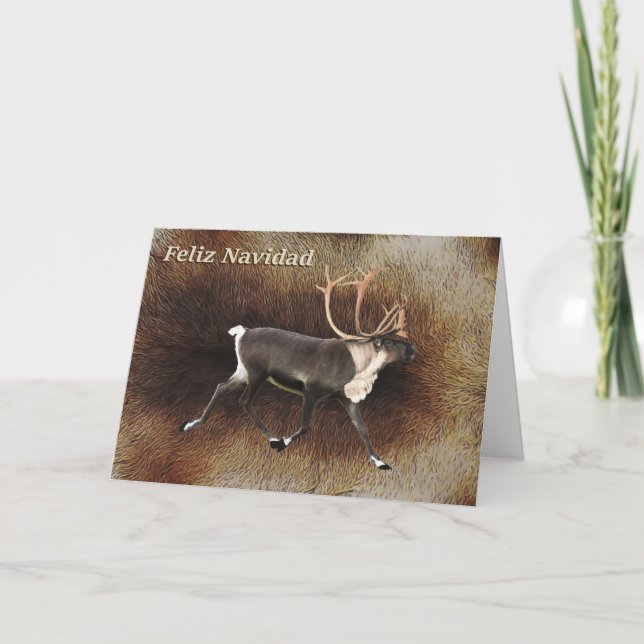 Feliz Navidad - Bull Caribou (Reindeer) Holiday Card (Front)