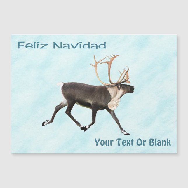 Feliz Navidad - Caribou (Reindeer) On Snow (Front)