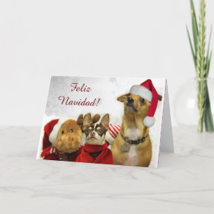 Feliz Navidad Chihuahuas greeting card