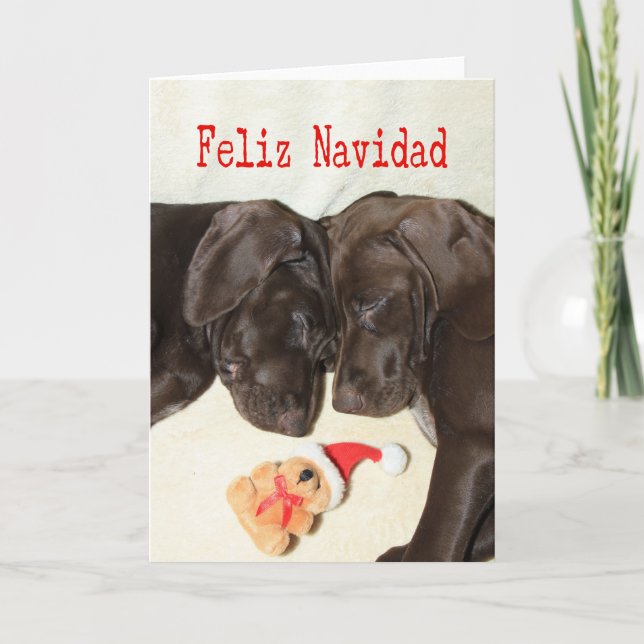 Feliz Navidad German shorthaired Puppies Holiday Card (Front)