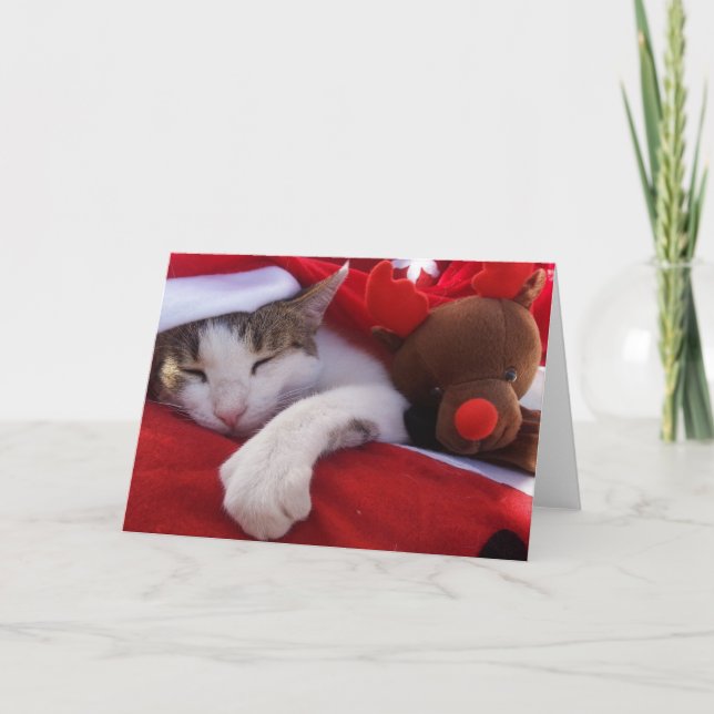 Feliz Navidad Holiday Card (Front)
