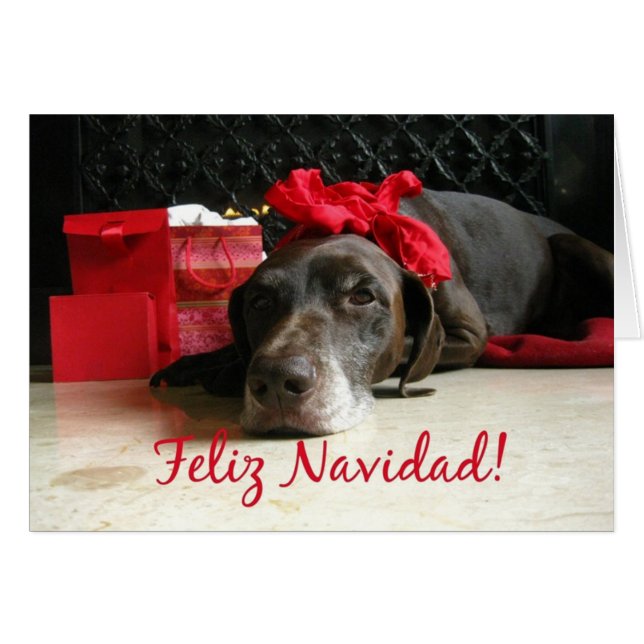 Feliz Navidad Spanish Christmas Card (Front Horizontal)