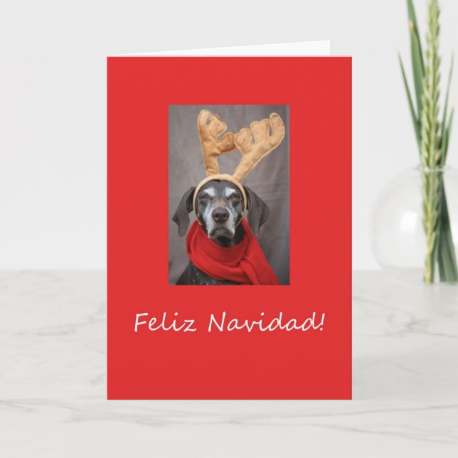 Feliz Navidad Spanish Christmas Card (Front)