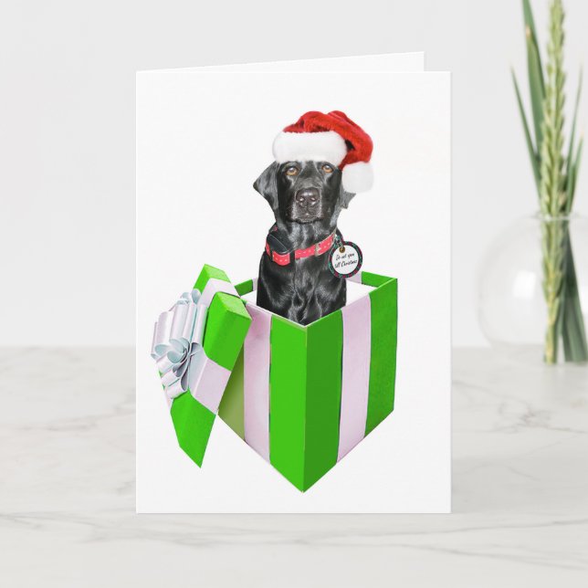 Feliz Navidog Holiday Card (Front)