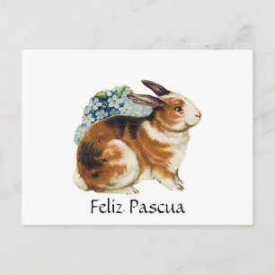 Feliz Pascua , Happy Easter in spanish Holiday Postcard