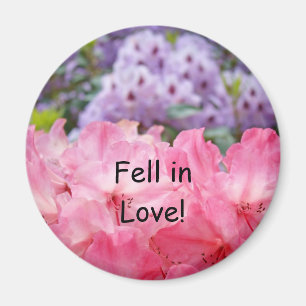 Fell in Love! magnet Pink Rhododendron Flowers