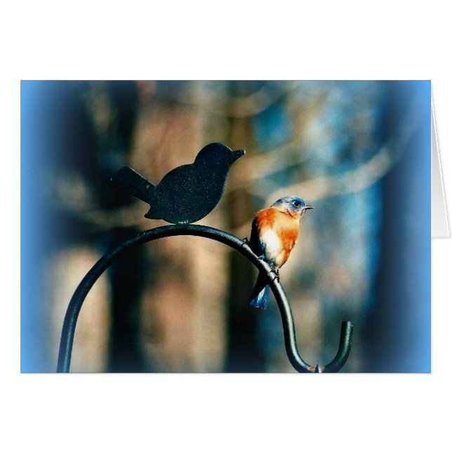 "Fellowship On The Path" (Front Horizontal)