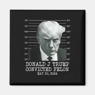 Felon Donald Trump Guilty Lock Him Up Trump Prison Magnet